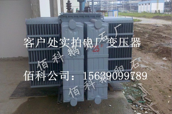 客戶想要購(gòu)買齊全的水處理鵝卵石到哪里去？