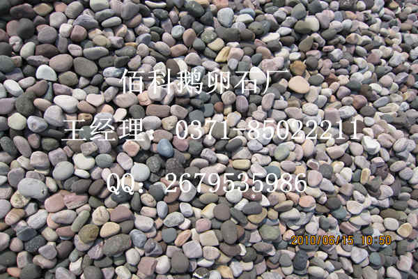 佰科天然鵝卵石，質(zhì)量?jī)r(jià)格可靠