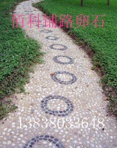 鄭州公園綠化鋪路鵝卵石多少錢一噸？